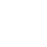 BD Regulatory support services