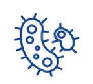 Asset04_campañasepsis.jpg