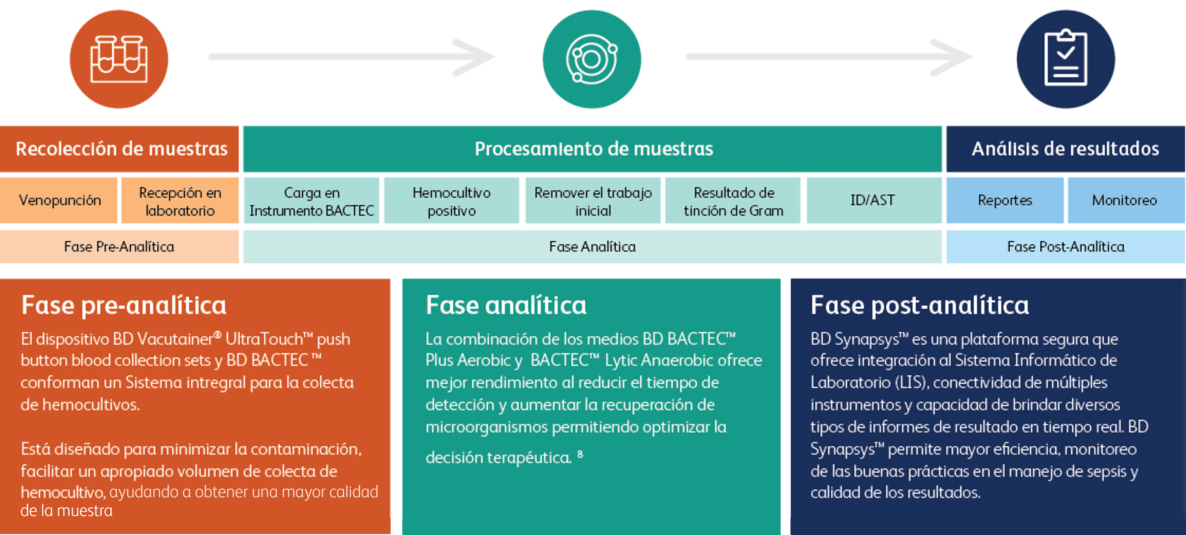 Asset16_campañasepsis.jpg